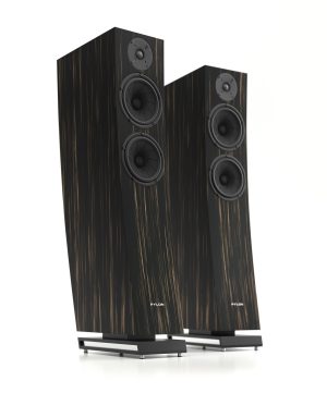 Pylon Audio Jasper 25 MKII