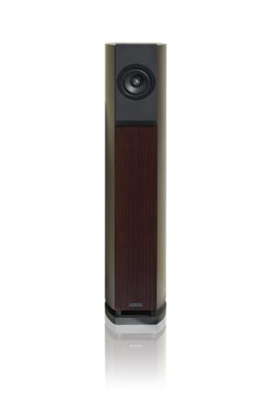 AUDIUM Comp 8X Passiv