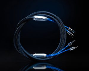 Siltech Classic Legend 880L Angebot