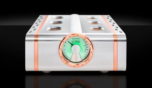 Dan D'Agostino Relentless EPIC 800 Monoendstufe
