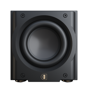 Perlisten R8s Subwoofer
