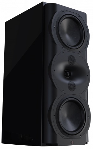 Perlisten R5m Monitor-Lautsprecher