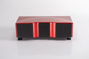 Wilson Audio WASAE Center