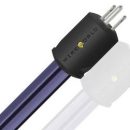 Wireworld Aurora 10