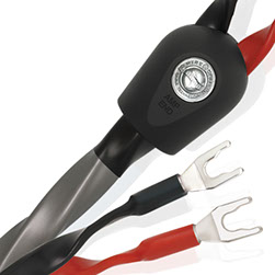 Wireworld Equinox 10 Lautsprecherkabel
