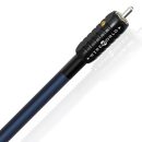 Wireworld Oasis 10