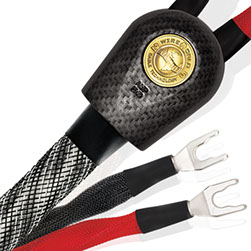 Wireworld Platinum Eclipse 10 Lautsprecherkabel