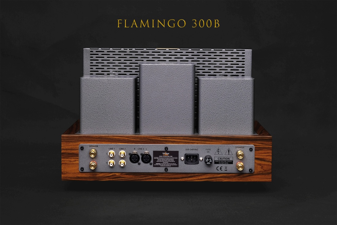 Thivan Labs Flamingo 300B Single Ended Röhren Vollverstärker – Bild 4