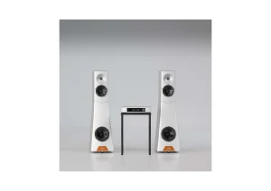 YG Acoustics Vantage 3 Live S
