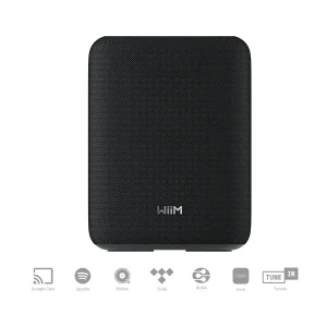 WiiM Sound Lite