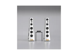 YG Acoustics XX 3 Live S